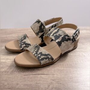 Dr. Scholls women’s wedge sandal size 9, new no tags or box, snake pattern